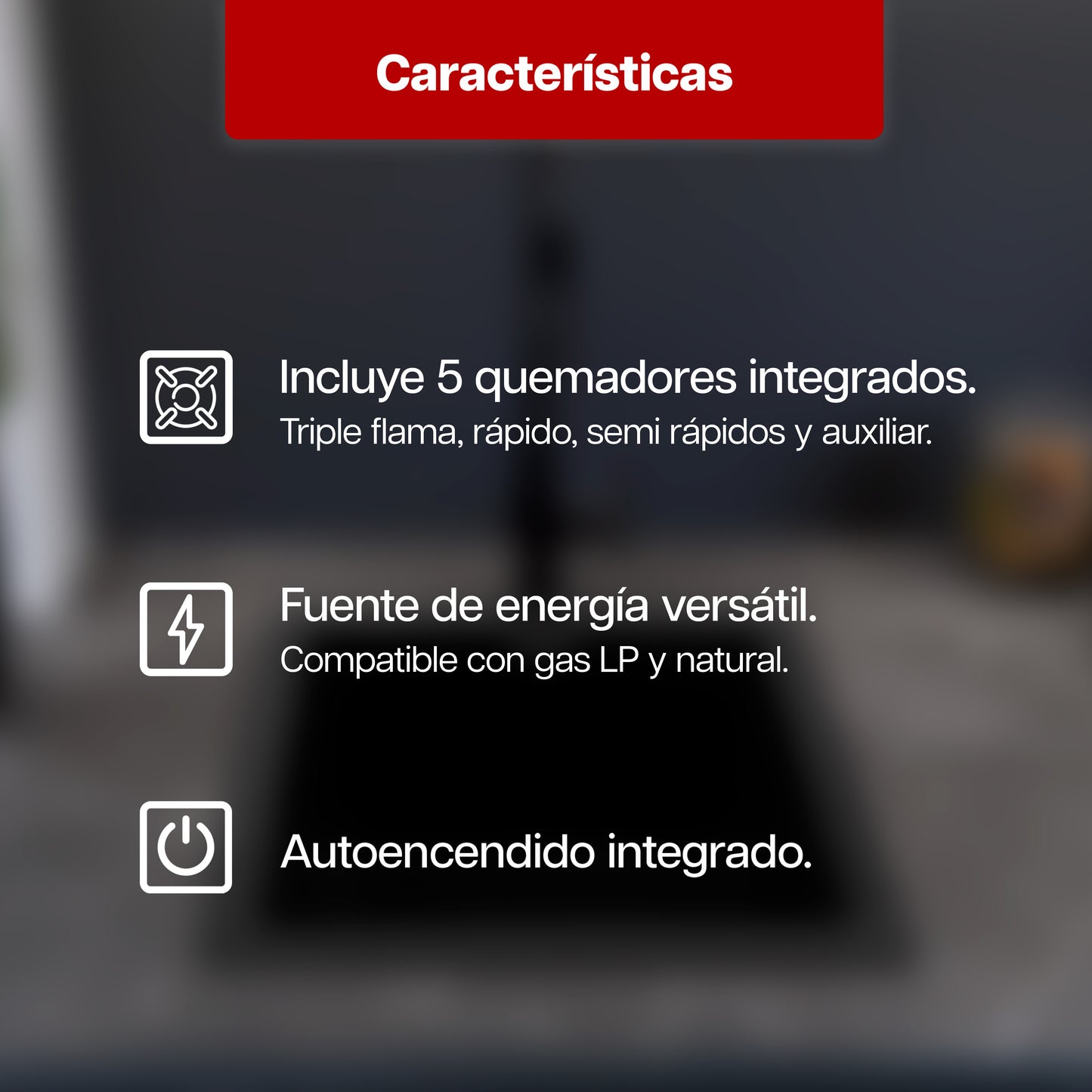 Parrilla a Gas 68 x 51 cm Maxims de 5 Quemadores Acero Inoxidable 120V